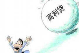 上蔡如何避免债务纠纷？专业追讨公司教您应对之策