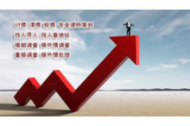 上蔡为什么选择专业追讨公司来处理您的债务纠纷？